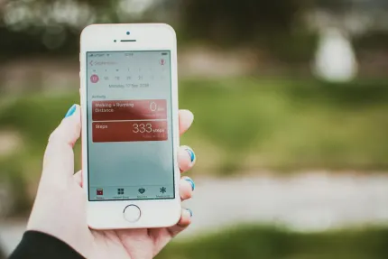 엠알 슬로티 카지노 모바일 앱